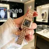 Nova Moda Kajia Moda Relógio Quadrado Feminino com Mostrador Pequeno Cravejado de Diamantes, Pulseira de Aço Leopardo, Quartzo, Modelo Feminino Estudante Atacado