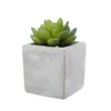 Personalización de Plantas Simuladas, Nuevo y Creativo Wholesale de Plantas en Maceta Simuladas, Estilo Escandinavo Bonsái Simulado Decoración del Hogar Plantas Verdes