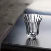 Tetera Doméstica de Vidrio Transparente de Alto Borosilicato Puede Calentarse con Estufa Eléctrica de Cerámica Tetera con Patrón de Crisantemo