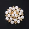 Broche de perlas para mujer, exquisito diseño de nicho, ramillete, ropa, broche anti-caminar, accesorios atmosféricos.