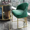 Estilo Nórdico Balcón Verde Oscuro Asiento Individual Exportación Silla Sofá de Tela Sencilla Acero Inoxidable Moderno Asiento de Ocio