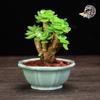 Vaso de cerâmica criativo mini vaso para suculentas vaso redondo quadrado vaso para varanda escritório mesa vasos para bonsai fábrica atacado