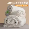 Colcha de Fibra de Soya al 55% Clase A, Universal para Todas las Estaciones, Colcha Gruesa y Cálida de Invierno, Colcha de Primavera y Otoño, Colcha de Verano para Aire Acondicionado