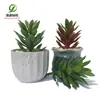 Simulación planta suculenta súper grande tamaño pequeño suculenta bonsái planta verde flor de plástico en maceta micro paisaje con pared vegetal