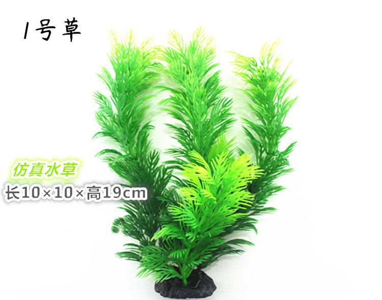 1号草 (2)