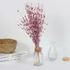 Decoraciones Navideñas Transfronterizas, Bolas de Espuma con Purpurina Dorada, Coronas para Árbol de Navidad, Accesorios de Vid, Racimos de Bayas Artificiales al por Mayor