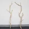 Galho Seco de Tronco Pendurado na Parede Madeira Maciça Descascada Anti-corrosão Galhos Mortos Decoração de Arte Floral Feita à Mão Ornamento Teto de Madeira Morta