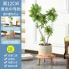 Mesa de Sala de Estar Estante para Flores Estante de Almacenamiento Interior Madera Maciza Alféizar de Ventana Suculenta Mesa de Flores Nuevo Balcón Piso Estante para Pothos de Pie