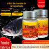 Carpa prateada e carpa cabeçuda chamada ordem indutor isca peixe cama atraente pesca flutuante carpa prateada e carpa cabeçuda Peixe cabeça grande carpa prateada medicina de pesca