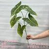 2026 Nuevo Modelo Plantas Verdes Artificiales Hierba de Espárrago Asparagus Asparaginea Decoración de Boda Flores Falsas Verdes Paisajismo Fotografía Plantas Verdes Estilo Bosque