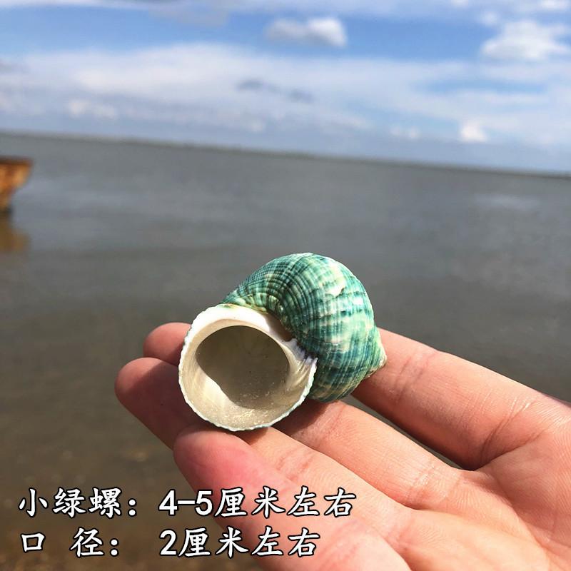 QQ图片20190901111602.jpg