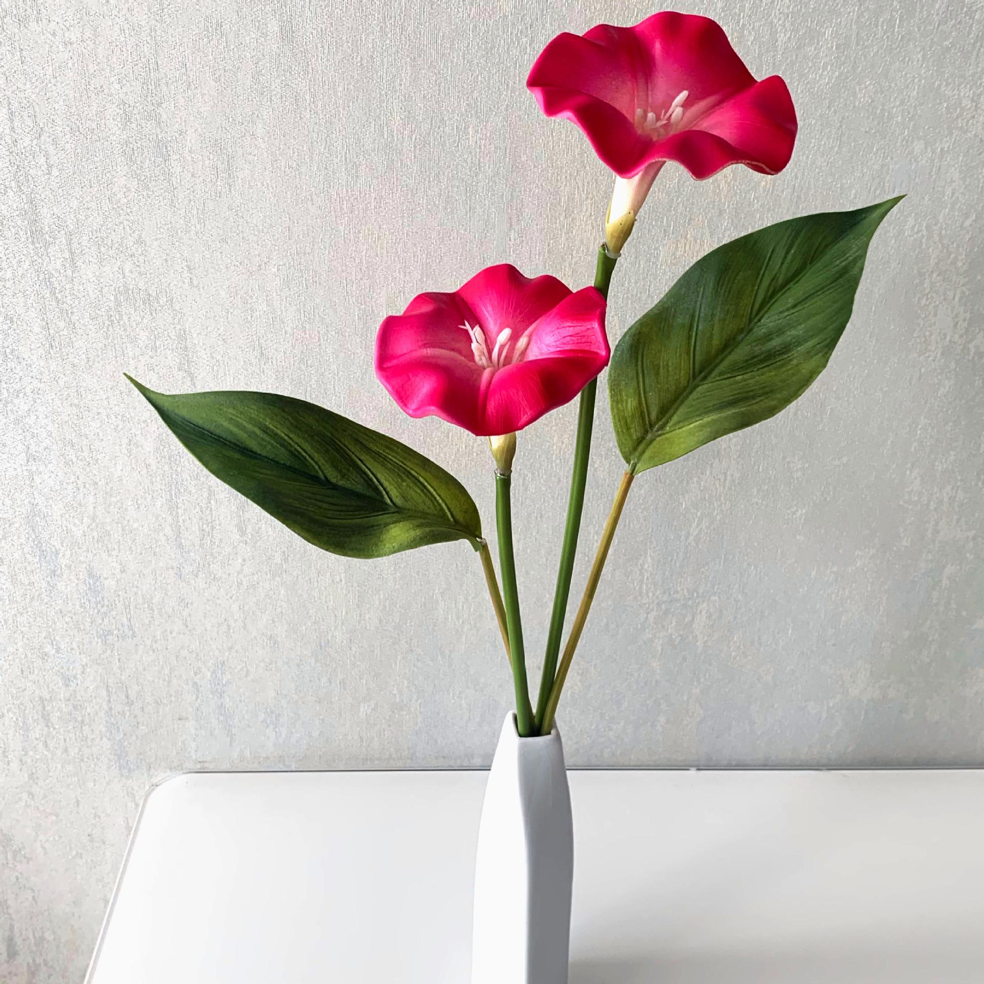 QQ图片20200405203045