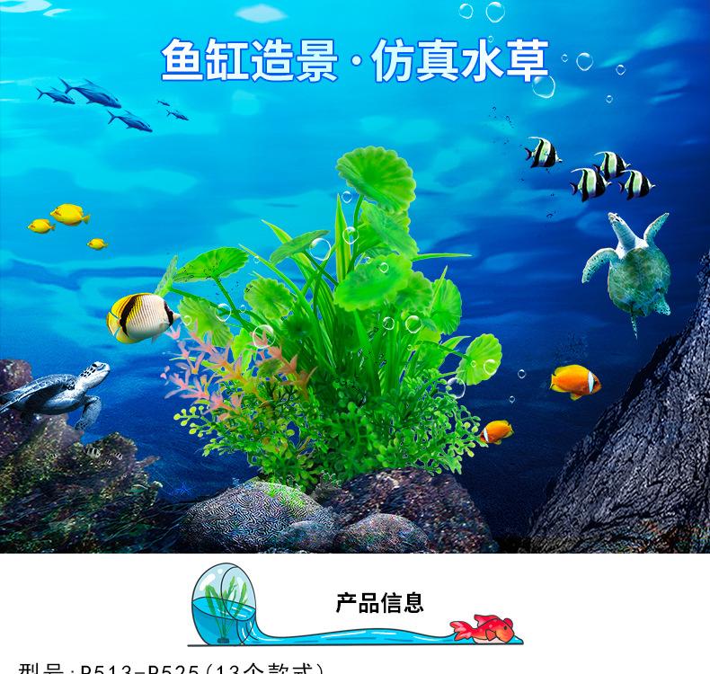 详情_01.jpg