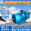 Motor assíncrono de rotor bobinado Fácil substituição de escovas Desaceleração de velocidade constante Motor assíncrono de rotor bobinado