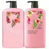 Set Personalizado de Champú y Acondicionador Suave de Rosa Mosqueta Transfronterizo