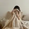 Cobertor de Veludo de Visão de Luxo com Fleece Dupla Face para Outono e Inverno, Espesso e Quente, Cobertor para Sofá, Cobertor para Cochilo no Escritório