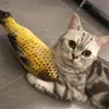 Set de juguetes para gatos con almohada de pescado con hierba gatera, para entretenerse solo, alivia el aburrimiento, duradero y masticable, juguete de pez 3D simulado con hierba gatera para gatos