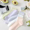 Calcetines Cortos Rayados Clásicos para Mujer, Calcetines Deportivos Absorbentes de Sudor de Media Pantorrilla para Primavera y Verano, Calcetines Cortos y de Media Pantorrilla Antibacterianos para Mujer, Calcetines Zhuji
