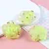 Flores de Verano Lámina de Oro Pétalos de Rosa Parches Accesorios de Resina DIY Pendientes Pinzas para el Cabello Fundas de Teléfono Materiales Venta al por Mayor