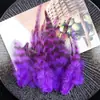 Aproximadamente 50 Piezas de Puntas de Plumas Azules y Blancas para Manualidades, Decoraciones de Plumas de Pollo Coloridas, Accesorios para el Cabello, Materiales Hechos a Mano para Atrapasueños, Directo del Fabricante