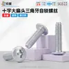 Tornillos Autorroscantes de Acero al Carbono con Cabeza de Pan Phillips y Rosca Triangular, Galvanizados en Blanco, Tornillos de Pan Autorroscantes m3m4m5m6