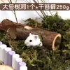 Urso Dourado Hamster Cercado Divisório Brinquedo Balanço Abrigo Casa Alívio do Tédio Cercado Acessórios de Gaiola Suprimentos de Paisagismo