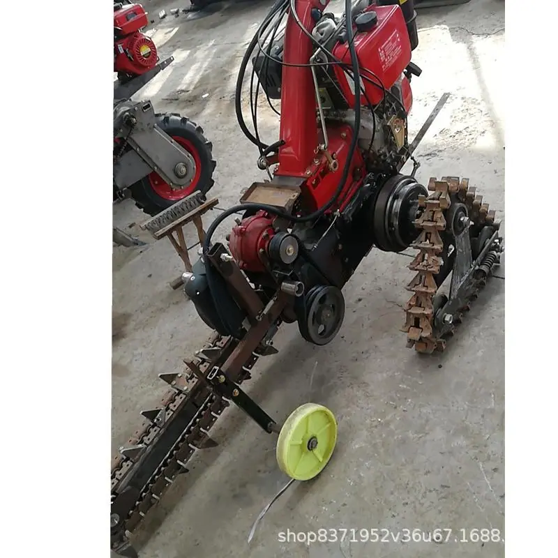 mmexport1585553776796.jpg