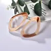 2026 Novos Brincos de Acrílico Estilo Ins Versáteis Elegantes Tarrachas de Orelha Femininas Moda Simples Acessórios de Orelha Design de Nicho
