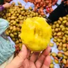 Kiwi de polpa amarela de Pujiang, Sichuan, envio direto 15/30 peças, tamanho médio, macio, fruta dourada da estação, fruta fresca