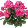 Venta transfronteriza de flores de begonia con simulación de viento de Amazon Temu, flores falsas para bodas, hogar, sala de estar, geranio, flores de seda.