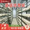 Cultivo de cogumelos Paris e shiitake em estufas, grades de malha para cultivo de cogumelos, estantes multi-camadas para cogumelos e estantes tridimensionais para cultivo de cogumelos