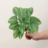 Plantas Verdes Simuladas Folhas de Jiboia Folhas de Casco de Tartaruga Paisagismo de Micro Paisagem Inseridas no Solo Folhas de Lótus de Guanyin Decoração de Casa Plantas em Vasos Plantas Artificiais