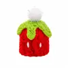 Sombrero de hámster transfronterizo, gorro navideño de lana, lagarto mascota pequeño, accesorios divertidos para la cabeza de reptiles