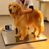 Venta Directa de Fábrica Báscula Electrónica Grande para Mascotas para Gatos y Perros 60kg Báscula de Plataforma Pequeña Báscula para Mascotas Comercial Tipo Dividido