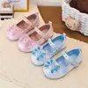 Zapatos de Princesa para Niña con Lazo de Perlas y Pedrería, Zapatos Mary Jane de Cuero de Suela Suave para Primavera y Otoño, Zapatos de Performance, Bailarinas de Moda para Niños