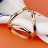 Hebilla de Seda Grande de Tres Anillos Aihshi Bufanda Cuadrada Versátil Esquina de Ropa Dobladillo de Camiseta Nudo Fijo Artefacto Hebilla de Bufanda