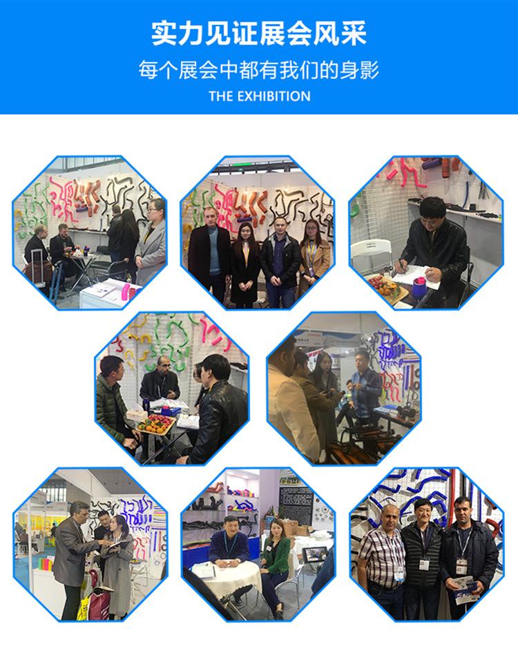 展会介绍_副本750