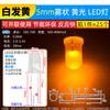 3mm 5mm Diodo Emisor de Luz LED Lámpara Perla Instrumento Blanco Cabello Rojo Amarillo Azul Verde Co Yang Yin Púrpura Colorido Rojo Verde