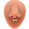 Anillo nasal de acero inoxidable con imán de flor pequeña transfronterizo de Gaibei Europa y Estados Unidos, anillo nasal sin perforación, joyería con clip nasal Huaxing