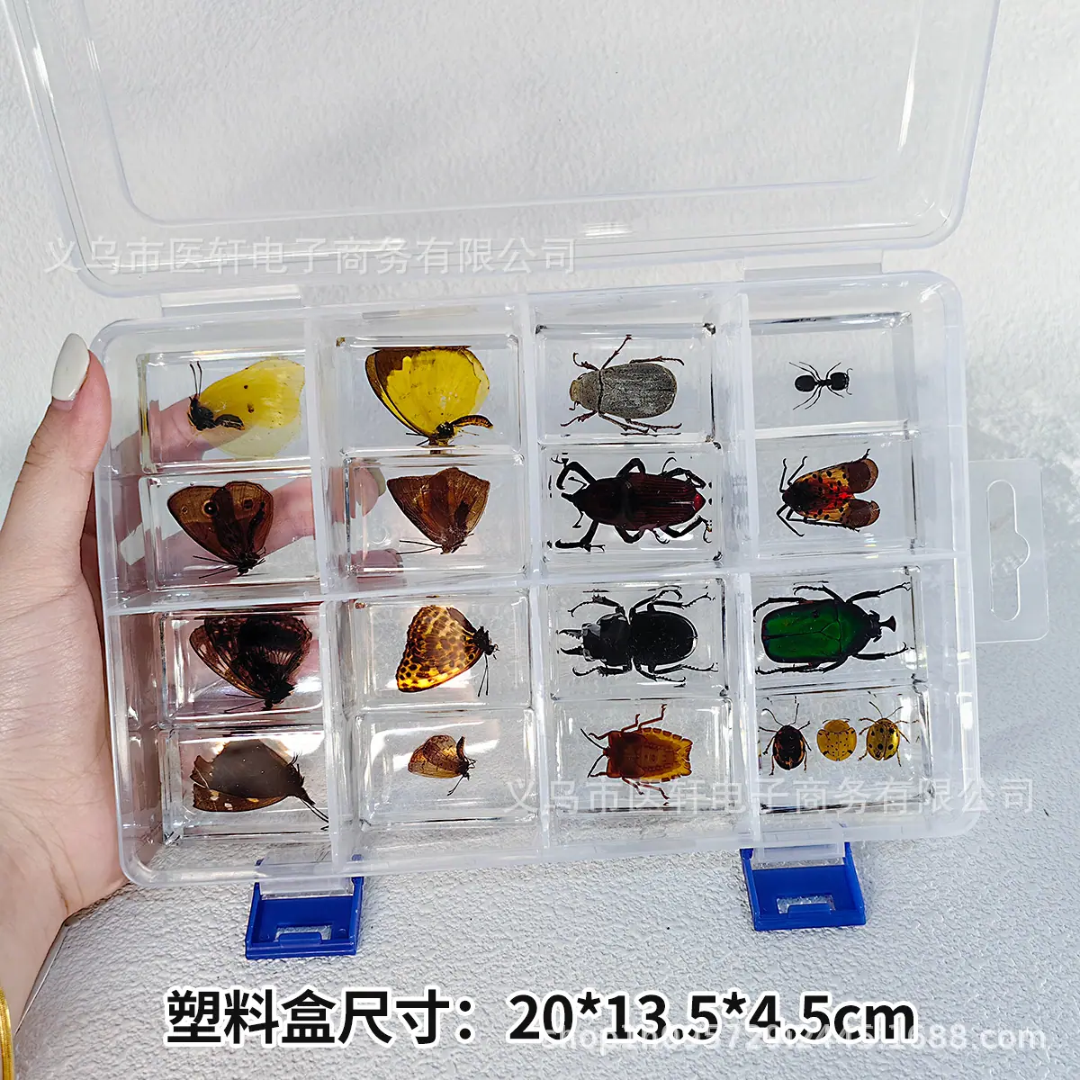 16框随机.jpg