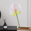 Flor Artificial de Anturio Falso Impresa en 3D Anturio de Fuego Decoración de Salón de Bodas Decoración del Hogar Planta Verde Artificial Fabricante de Flores Falsas