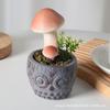 Simulação Coruja Cogumelo Bonsai Casa Decoração de Sala de Estar Espuma Ornamentos Criativos Adereços de Tiro Verde Planta Combinação Bacia