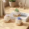 Regalos creativos: Plantas suculentas artificiales de vidrio Zibo en maceta, manualidades de vidrio, decoraciones de escritorio estilo ins al por mayor
