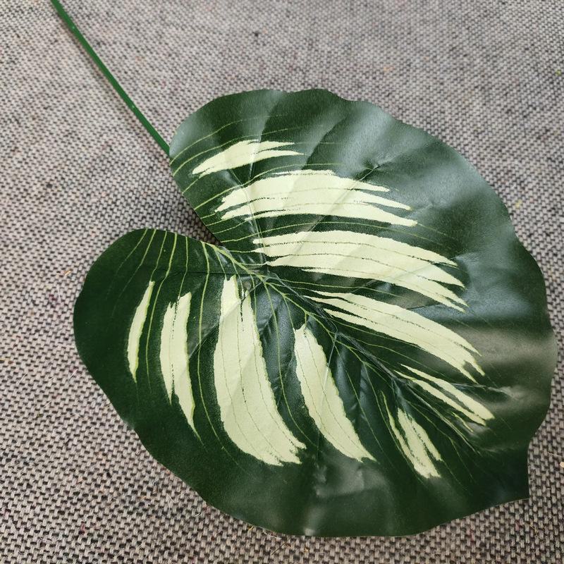 单只连体斑马深绿