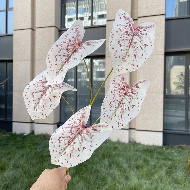 5叉彩色芋叶-7色系 深红斑白.JPG