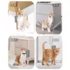 Juguetes para Gatos, Rascador para Gatos, Rascador de Esquina, Tabla Rascadora para Gatos Que No Suelta Pelusa, Rascador Facial, Colección de Artículos para Mascotas