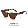 Moda Europea y Americana Chica Atractiva Gafas de Sol Elegantes Ojo de Gato, Gafas de Sol Anti-UV, Nicho Exportación Transfronteriza, Tendencia Elegante para Mujeres