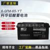 Bateria Jingwei 6-Gfm-65-Yt Válvula-Controlada Selada Chumbo-Ácido Livre de Manutenção 12V65Ah Tela DC Upseps