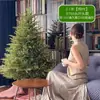 Árbol de Navidad para Uso Doméstico, Nuevo Modelo Infantil 2025, Adorno Grande de Alta Gama Estilo Coreano, Decoración de Árbol Desnudo, Celebridad de Internet Estilo Ins