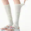 Outono e inverno meias femininas japonesas de pelo, meias de cano médio, cor sólida, moda quente, renda, conjunto de pernas torcidas, atacado, Joker